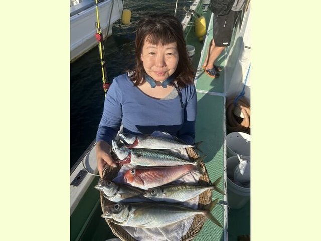 アジ(マアジ)・アマダイ(アカアマダイ)・サバ(ゴマサバ)