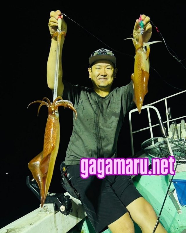 ケンサキイカ・イカ(ヤリイカ)