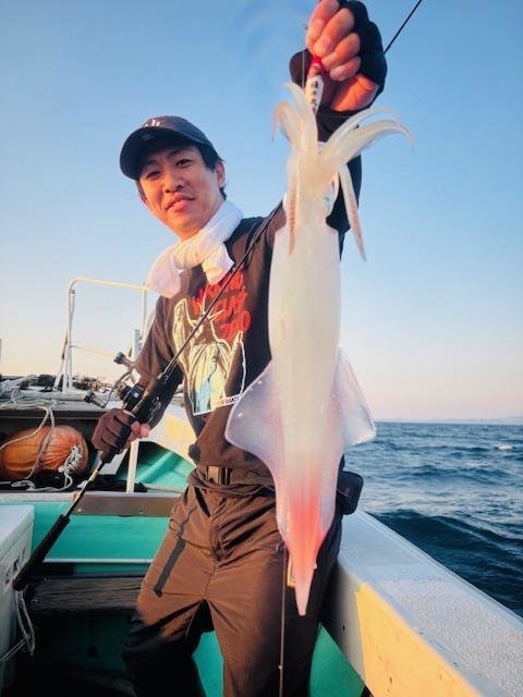 イカ(ヤリイカ)