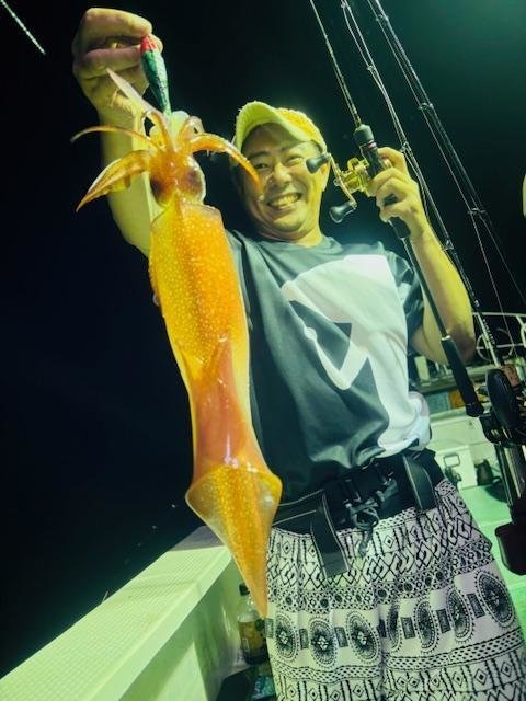 イカ(ヤリイカ)