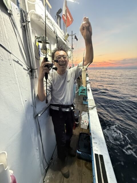 マイカ(ケンサキイカ)