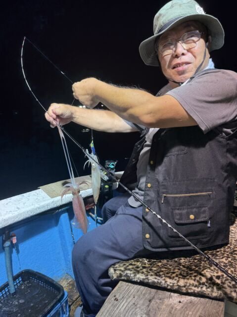 マイカ(ケンサキイカ)