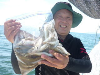 キス(シロギス)