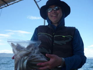 キス(シロギス)