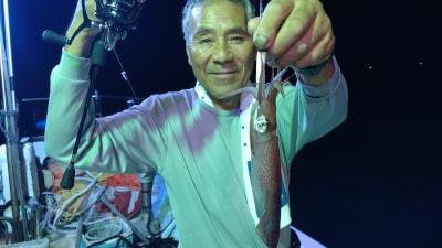 マイカ(ケンサキイカ)