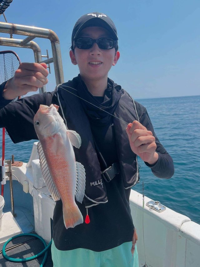 アマダイ(アカアマダイ)