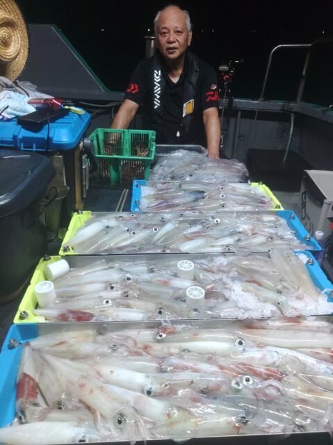 イカ(ヤリイカ)