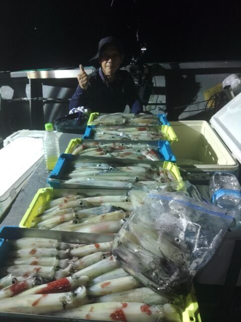 イカ(ヤリイカ)