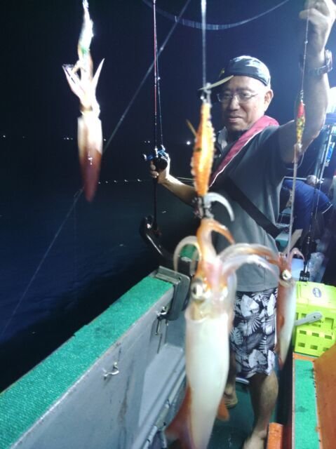 イカ(ヤリイカ)