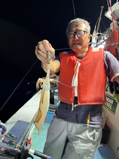 マイカ(ケンサキイカ)