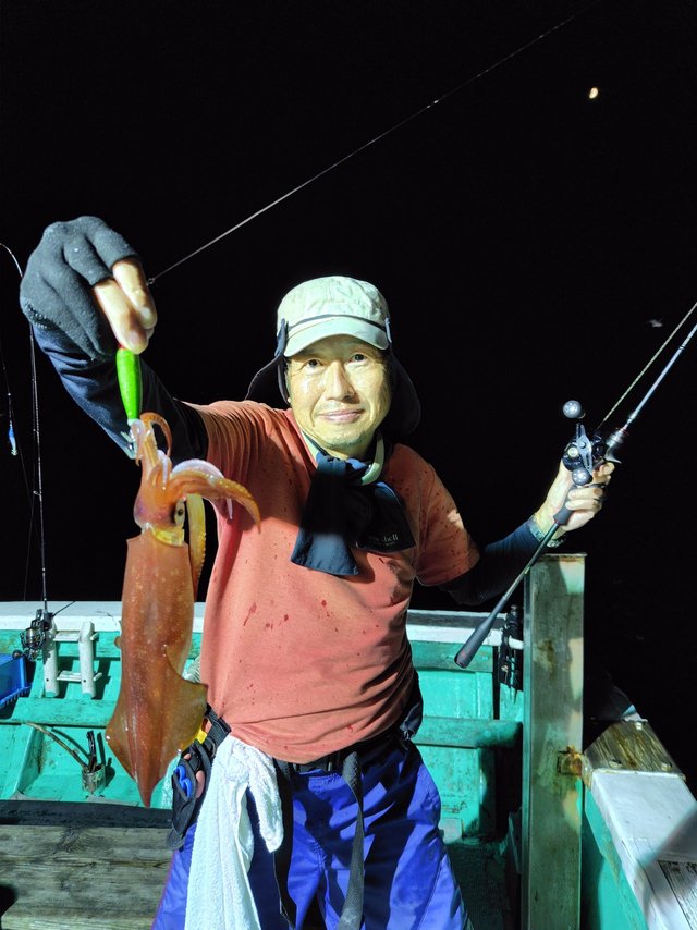 シロイカ(ケンサキイカ)