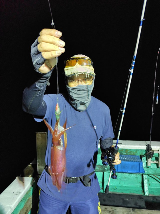 シロイカ(ケンサキイカ)