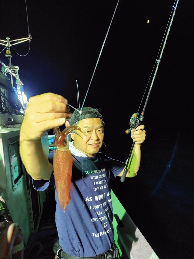 シロイカ(ケンサキイカ)