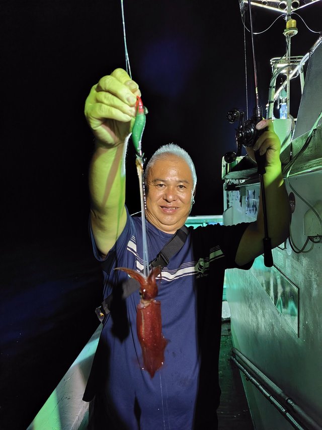 シロイカ(ケンサキイカ)