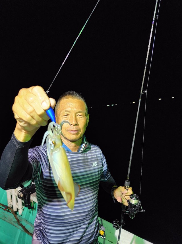 シロイカ(ケンサキイカ)