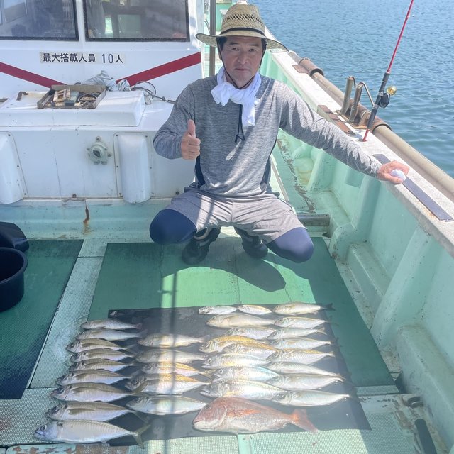 マダイ・マアジ・イサキ・マサバ