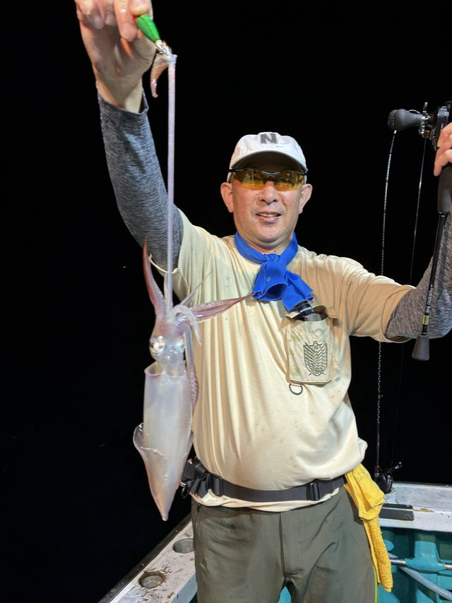 アカイカ(ケンサキイカ)