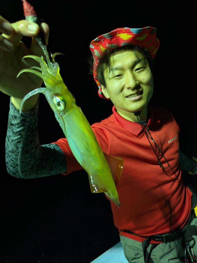 イカ(ケンサキイカ)