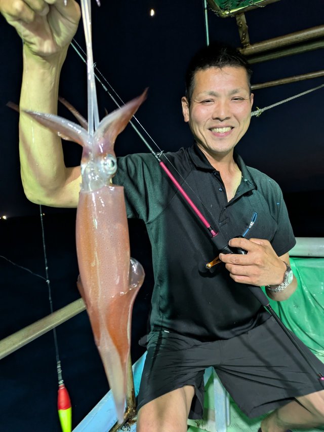 イカ(ケンサキイカ)