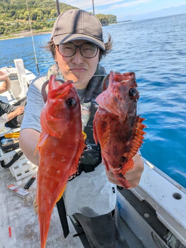 アカハタ・カサゴ