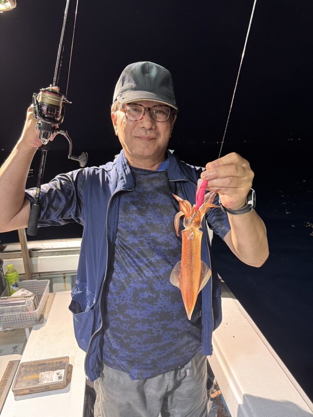 マイカ(ケンサキイカ)