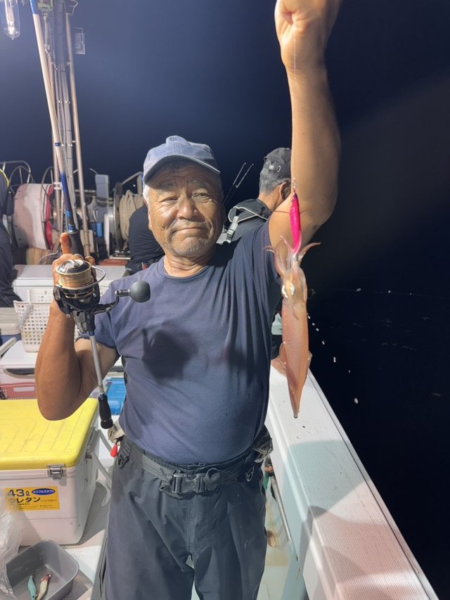 マイカ(ケンサキイカ)