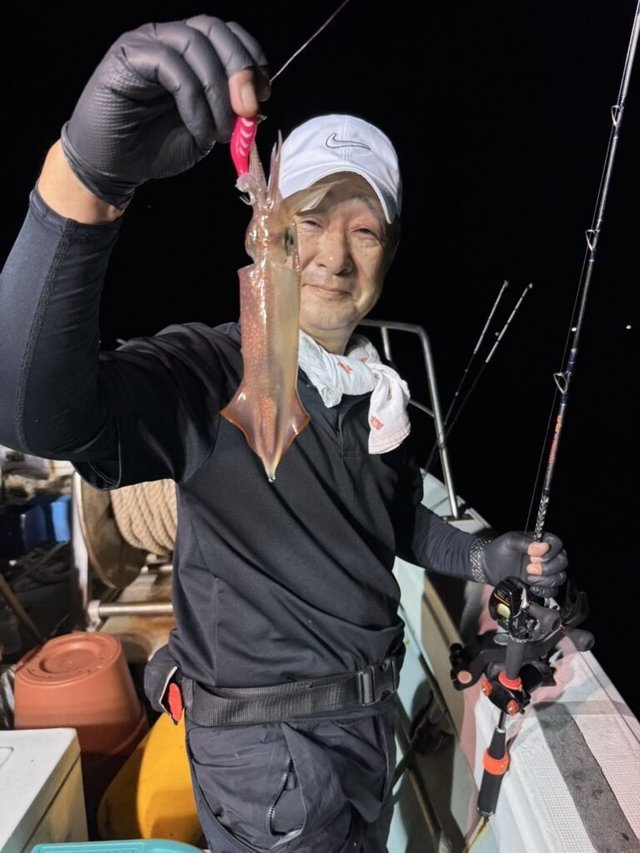 マイカ(ケンサキイカ)