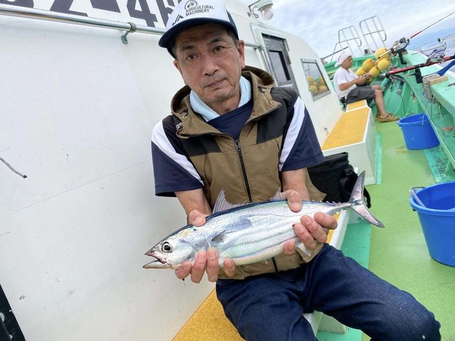 ホンガツオ(カツオ)