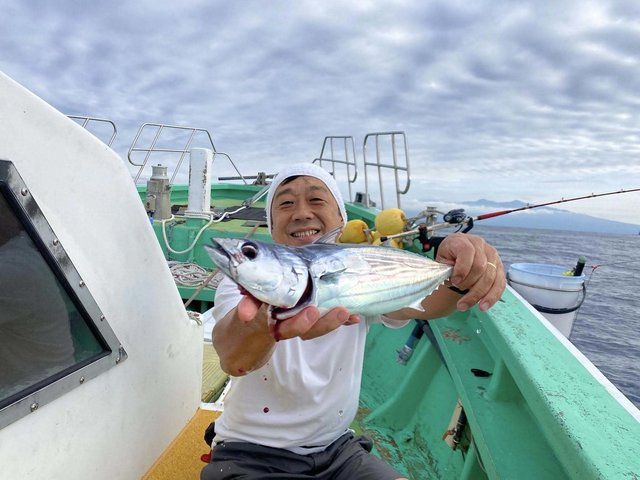 ホンガツオ(カツオ)