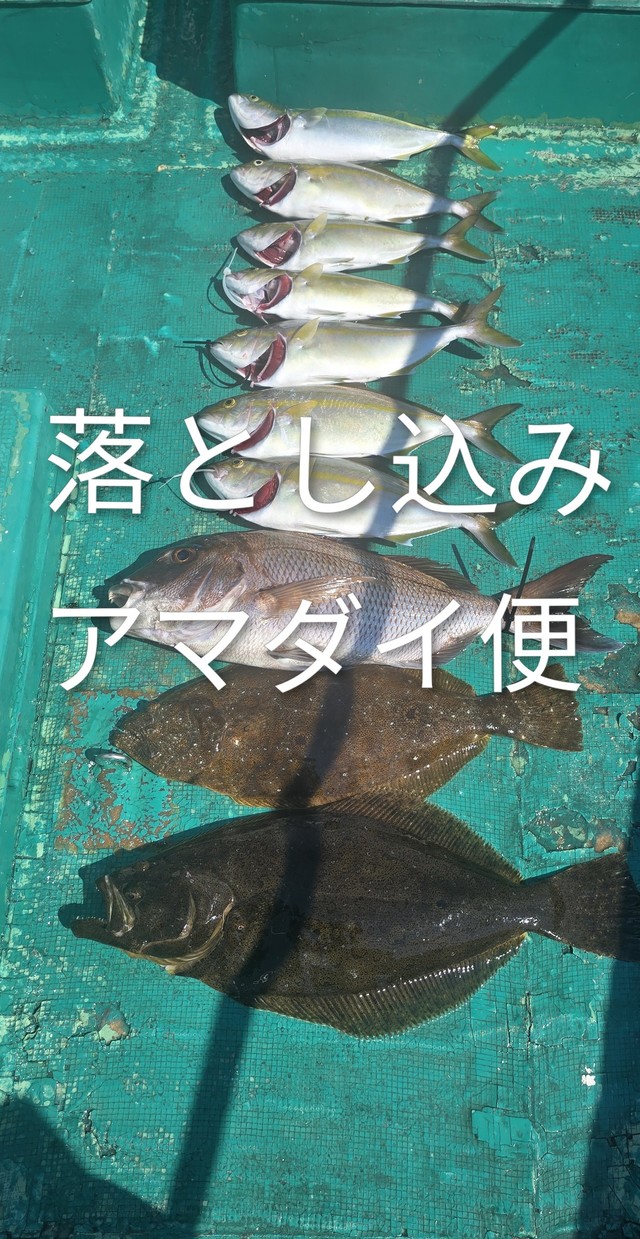 マダイ・シオ(カンパチ)・ヒラメ