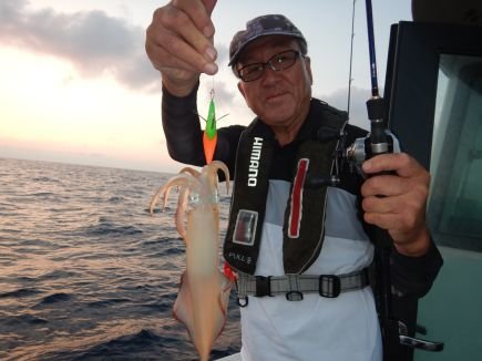 シロイカ(ケンサキイカ)