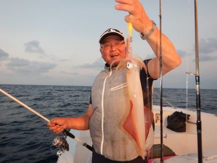 シロイカ(ケンサキイカ)