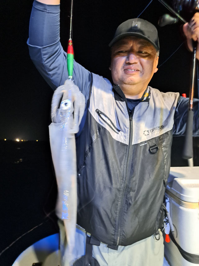 イカ(ヤリイカ)