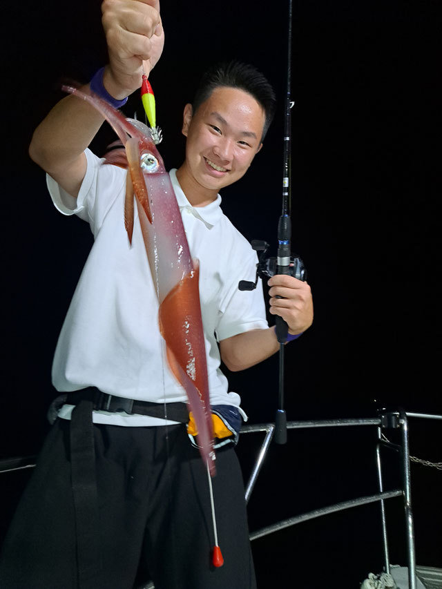 イカ(ヤリイカ)