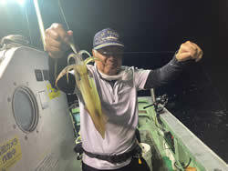 アカイカ(ケンサキイカ)