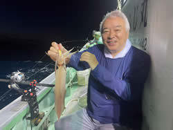 アカイカ(ケンサキイカ)