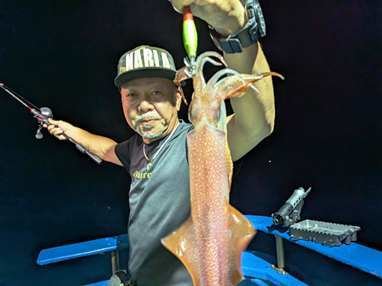 マイカ(ケンサキイカ)