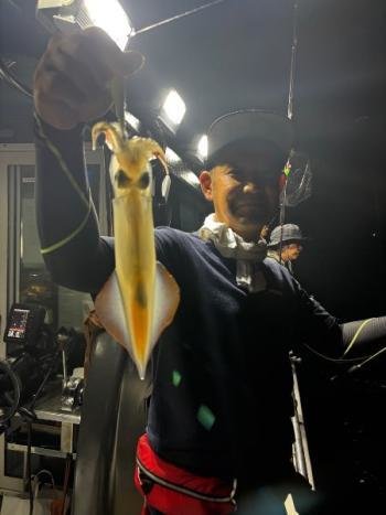 マイカ(ケンサキイカ)