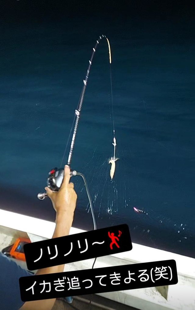 イカ(ケンサキイカ)