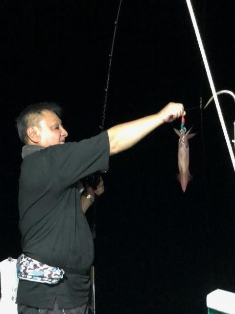 アカイカ(ケンサキイカ)