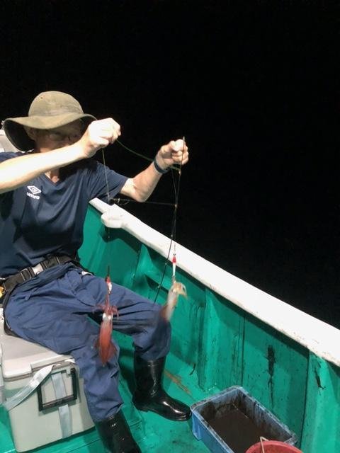 アカイカ(ケンサキイカ)