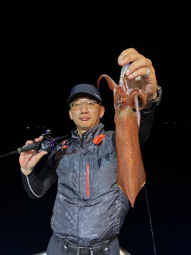 アカイカ(ケンサキイカ)