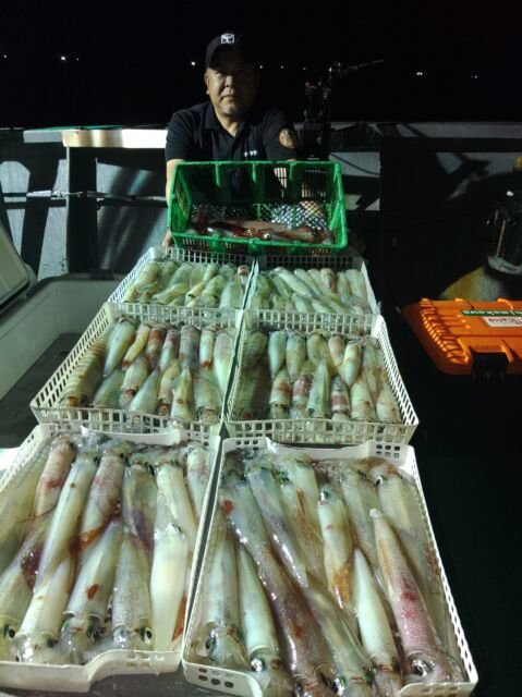 イカ(ヤリイカ)