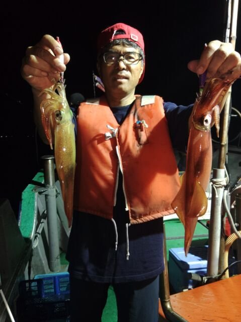 イカ(ヤリイカ)