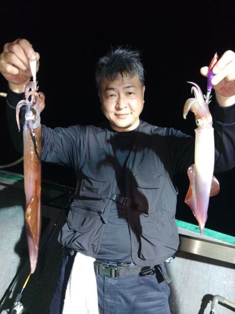 イカ(ヤリイカ)