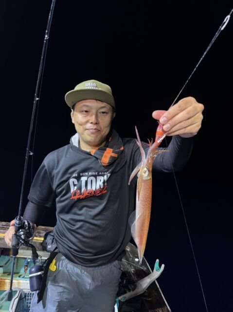 マイカ(ケンサキイカ)