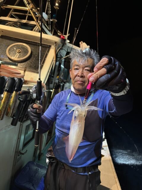 マイカ(ケンサキイカ)