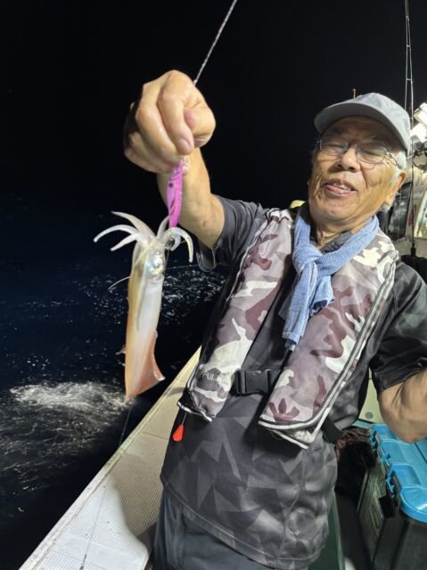 マイカ(ケンサキイカ)