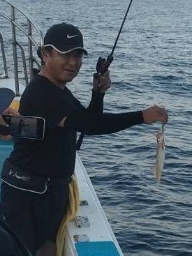 イカ(ヤリイカ)