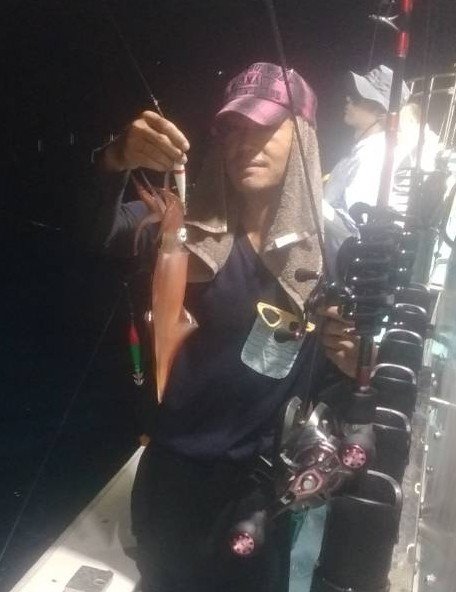 イカ(ヤリイカ)